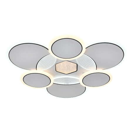 Потолочный светодиодный светильник Escada Dune 10277/6LED