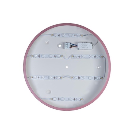 Потолочный светодиодный светильник Loft IT Axel 10003/24 pink