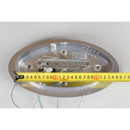 Подвесная люстра Aployt Danusia APL.846.13.10