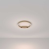 Потолочный светодиодный светильник Maytoni Rim MOD058CL-L25BSK