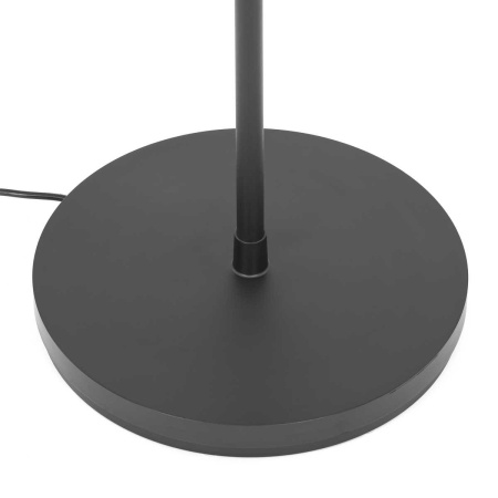 Торшер Citilux Loong CL810031