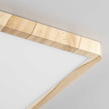 Светильник накладной Citilux Бейсик CL738K242V