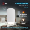 Настенно-потолочный светильник ЭРА OL32 WH Б0056377