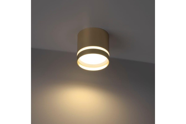 Накладной потолочный светильник Ritter Arton 59945 6