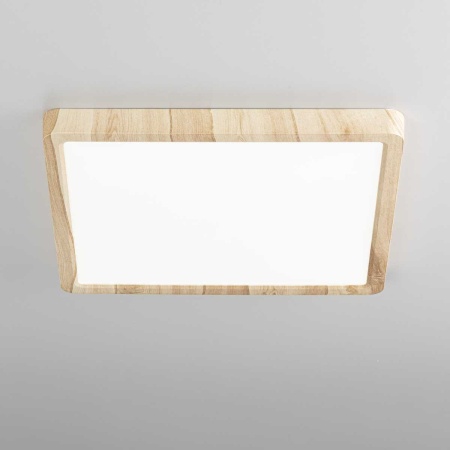 Светильник накладной Citilux Бейсик CL738K242V