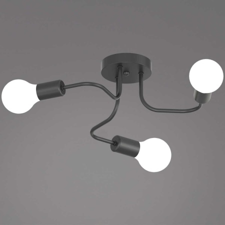 Светильник потолочный Reluce 01728-0.3-03 BK