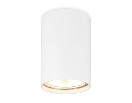 Потолочный светильник Ambrella light Techno Spot TN213101