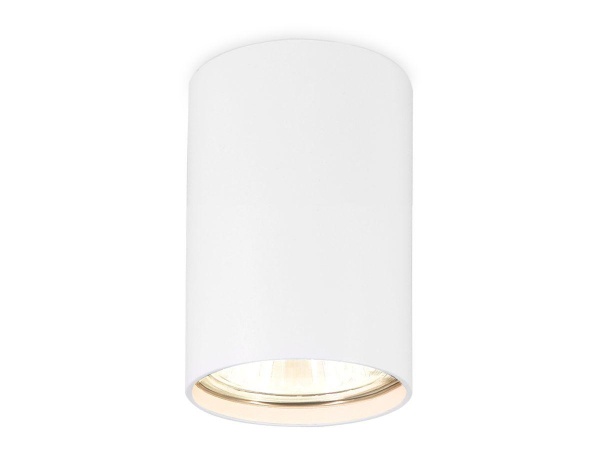 Потолочный светильник Ambrella light Techno Spot TN213101