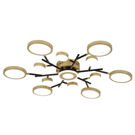 Потолочный светодиодный светильник F-Promo Hybrid 4686-13C