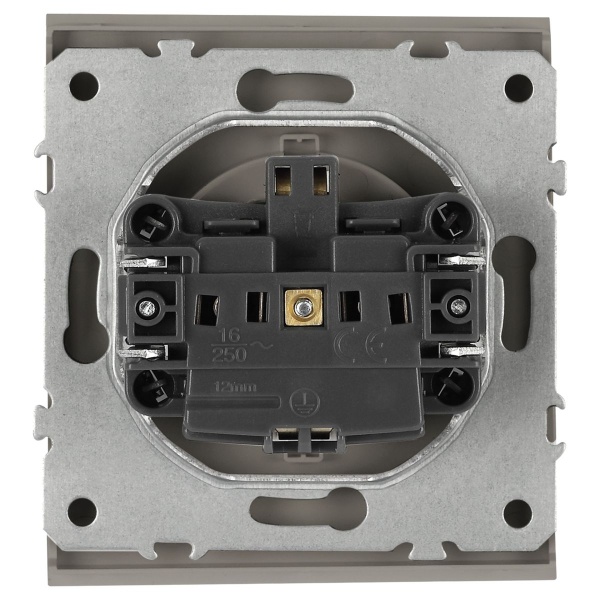 Розетка ЭРА Arktik 16-2103-07 с заземлением 2P+E Schuko со шторками с крышкой 16А-250В титан Б0070440