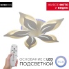 Потолочная люстра Seven Fires Omenya 75391.01.09.05