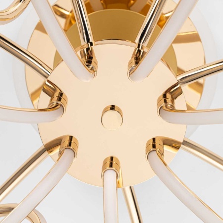 Потолочная светодиодная люстра Citilux Salma Smart CL224A172