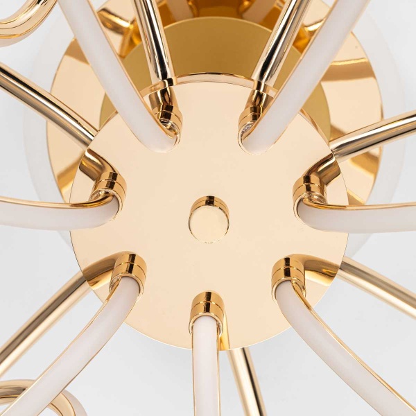 Потолочная светодиодная люстра Citilux Salma Smart CL224A172