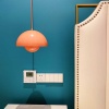 Подвесной светильник Imperium Loft 154935-60 154935-60