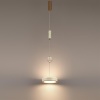 Подвесной светильник Odeon Light Riviera L-Vision 5450/32L