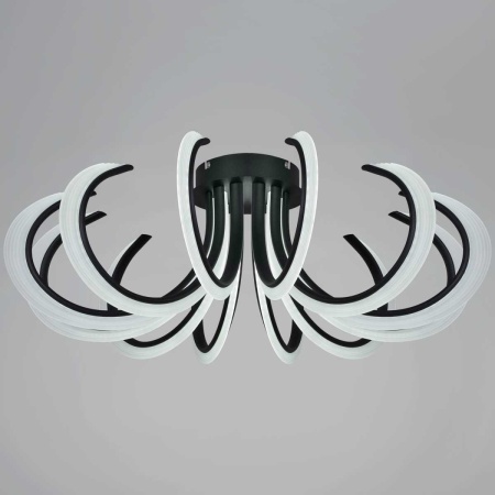 Потолочный светильник Reluce 74390-0.3-12L black