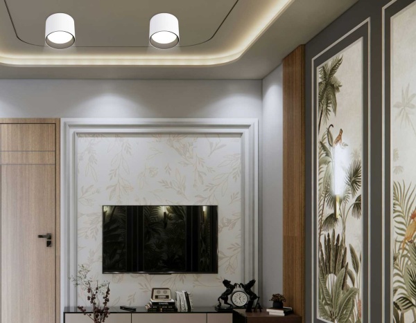 Светильник накладной Ambrella Light TN5303