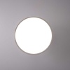 Потолочный светильник Imperium Loft Birk D30 White 377315-23