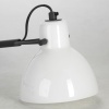 Настольная лампа Lussole Полк LSP-0598