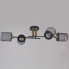 Потолочная люстра Reluce 38460-0.3-04 BK+COPPER
