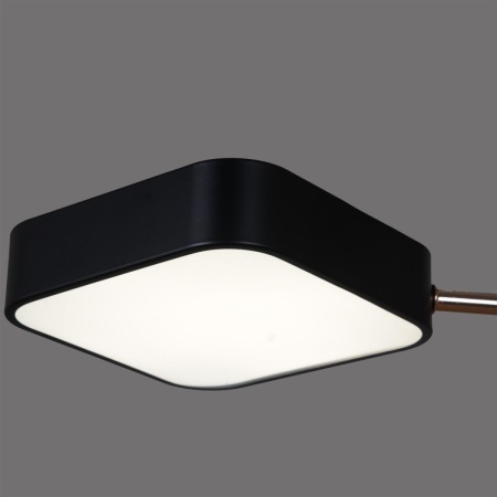 Светильник потолочный Reluce 03360-0.3-05 BK+FGD