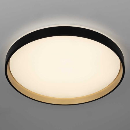 Светильник потолочный Citilux ENZO CL753511G