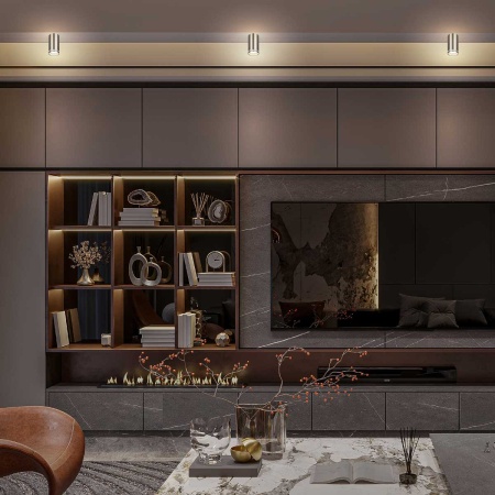 Накладной светильник ЭРА OL16 GU10 SN Б0049048