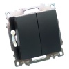 Переключатель двухклавишный Stekker Катрин GLS10-7107-05 черный 49167