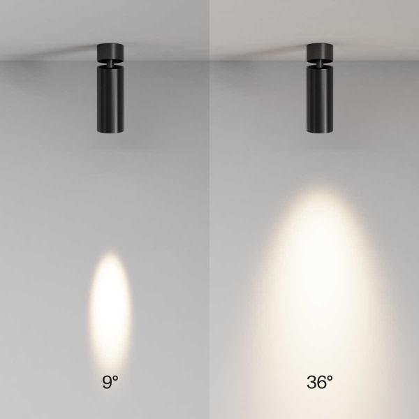 Потолочный светильник Maytoni Technical C055CL-L12W3K-SS-B