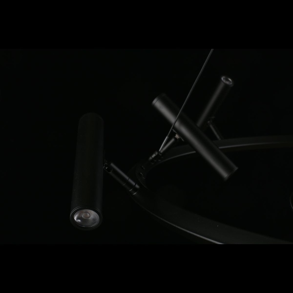 Подвесная светодиодная люстра Aployt Honor APL.067.03.50