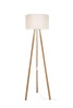 Торшер Toplight Posy TL1617S-01PN