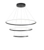 Подвесная светодиодная люстра Zortes RINGOLIGHT ZRS.33321.75C