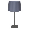 Настольная лампа Lussole Lgo LSP-0520