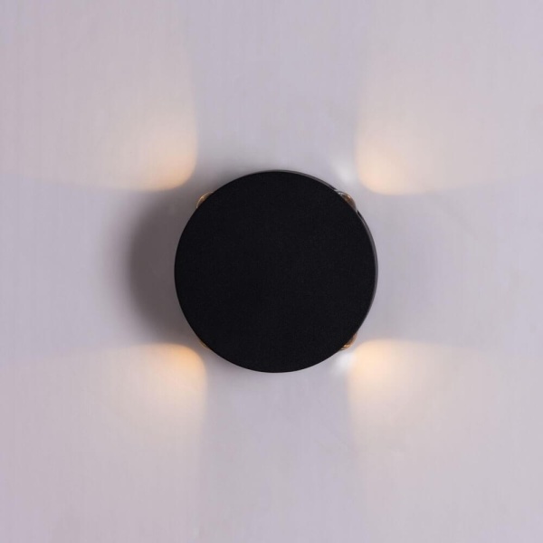 Уличный настенный светильник Arte Lamp Tamburello A1525AP-1BK