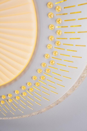 Потолочный светодиодный светильник Escada 10213/1LED