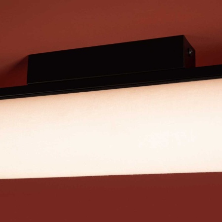 Потолочный светильник Freya Modern Even FR5625CL-L20B