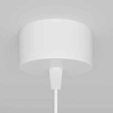 Подвесной светильник Maytoni Technical Focus P075PL-01W