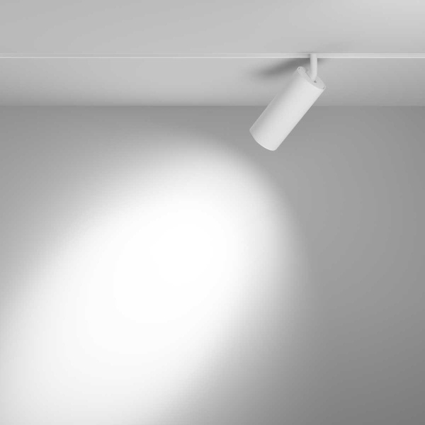Трековый светильник Voltega Эксилайт / Exilight VGL032-2-20W3K-S-W