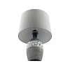 Настольная лампа Lumion Moderni Avalona 8118/1T