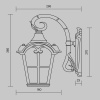Уличный настенный светильник Maytoni Outdoor Albion O413WL-01BZ