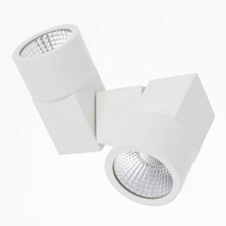 Потолочный светодиодный светильник Citilux Дубль CL556100