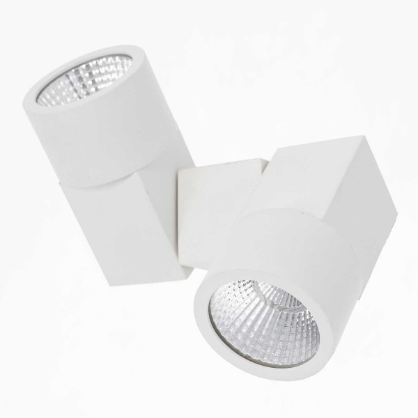 Потолочный светодиодный светильник Citilux Дубль CL556100