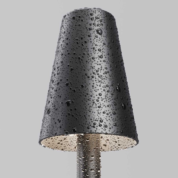 Ландшафтный светильник Maytoni Outdoor O504FL-L1B3K