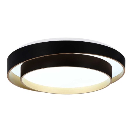 Потолочный светодиодный светильник Evoluce Crosby SLE6009-402-01