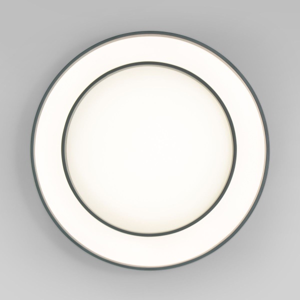 Потолочный светодиодный светильник Eurosvet Force 90330/2 серый