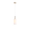 Подвесной светильник ST Luce Elegra SL1402.253.01