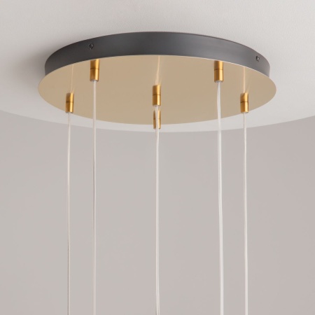 Подвесной светодиодный светильник Maytoni Modern Biology MOD367PL-L18BBSK