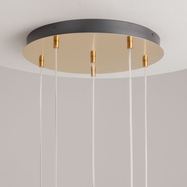 Подвесной светодиодный светильник Maytoni Modern Biology MOD367PL-L18BBSK