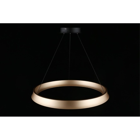 Подвесной светодиодный светильник Aployt Justyna APL.787.03.50