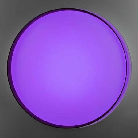 Потолочный светодиодный светильник Citilux Bonny CL754450G